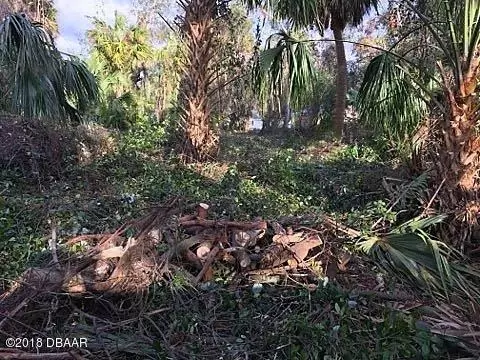 230 S Washington St, Ormond Beach, FL 32174 photo 8