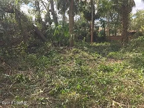 230 S Washington St, Ormond Beach, FL 32174 photo 6