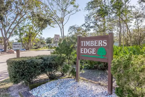 117 Timberline Trl, Ormond Beach, FL 32174 photo 23