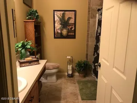 67 Levee Ln, Ormond Beach, FL 32174 photo 9