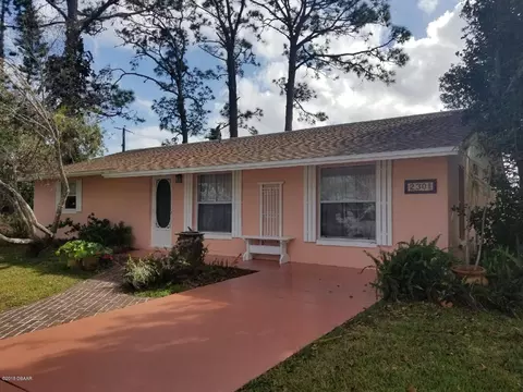 2301 Umbrella Tree Dr, Edgewater, FL 32141 photo 1