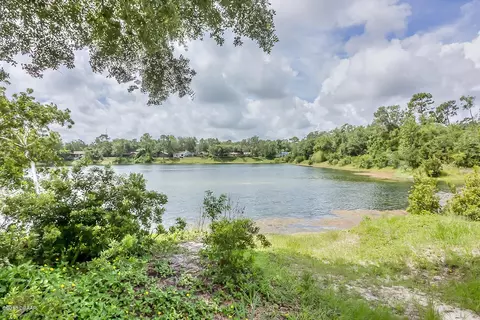 219 Briarfield Ct, Ormond Beach, FL 32174 photo 37