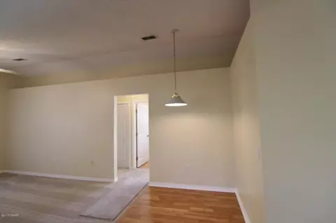 3113 Needle Palm Dr, Edgewater, FL 32141 photo 9