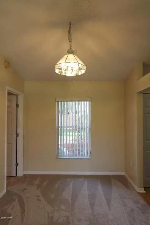 3113 Needle Palm Dr, Edgewater, FL 32141 photo 5