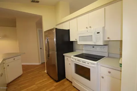 3113 Needle Palm Dr, Edgewater, FL 32141 photo 6