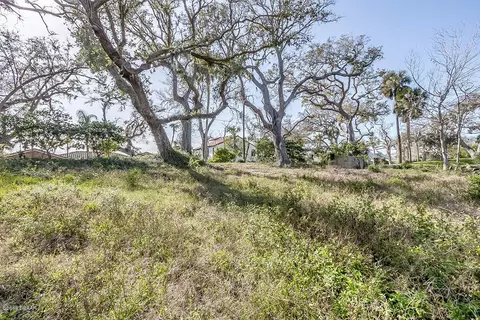 115 Riverside Dr, Ormond Beach, FL 32176 photo 14