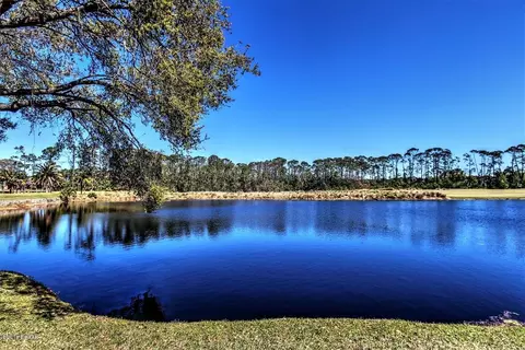 401 Long Cove Rd, Ormond Beach, FL 32174 photo 38