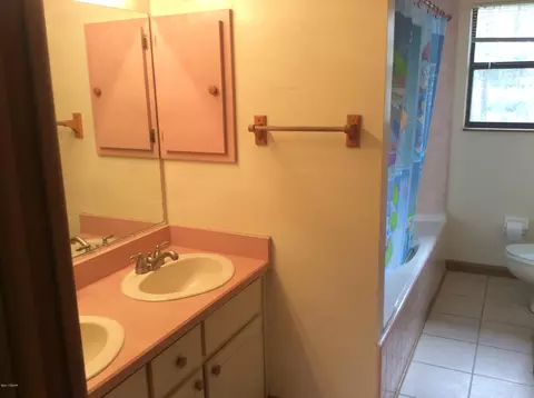 3517 Bareback Trl, Ormond Beach, FL 32174 photo 29