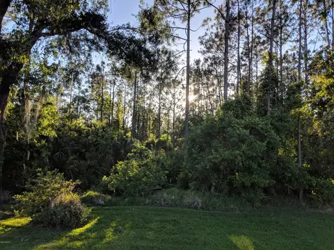 31 Hunt Master Ct, Ormond Beach, FL 32174 photo 24