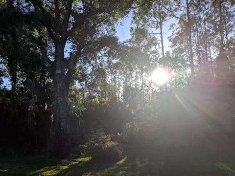 31 Hunt Master Ct, Ormond Beach, FL 32174 photo 25