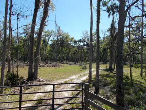 3154 Eels Grove Rd, Edgewater, FL 32141 photo 2
