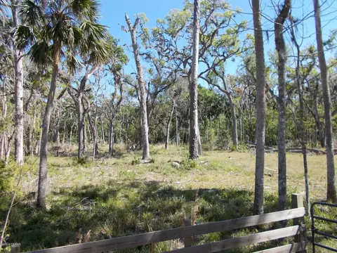 3154 Eels Grove Rd, Edgewater, FL 32141 photo 8