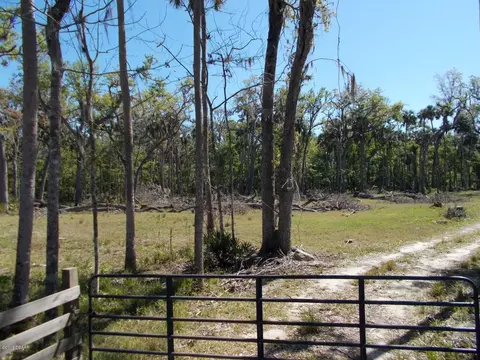 3154 Eels Grove Rd, Edgewater, FL 32141 photo 1
