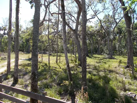 3154 Eels Grove Rd, Edgewater, FL 32141 photo 9