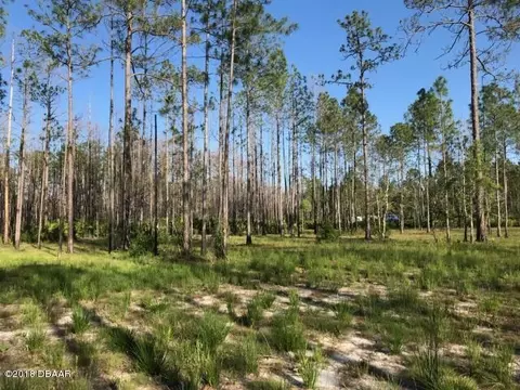 5893 Elm Ave, Bunnell, FL 32110 photo 2