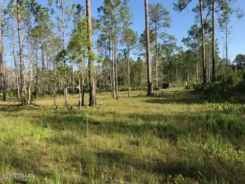 5893 Elm Ave, Bunnell, FL 32110 photo 4
