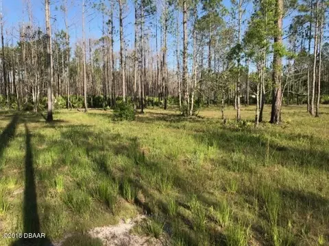 5893 Elm Ave, Bunnell, FL 32110 photo 3