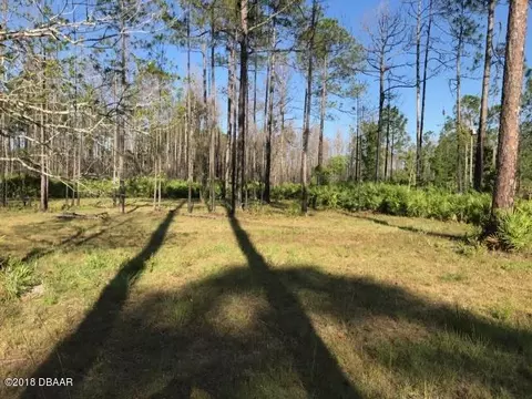 5893 Elm Ave, Bunnell, FL 32110 photo 6