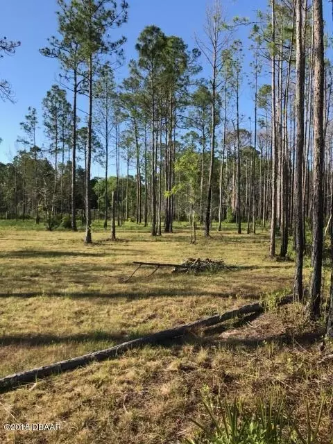 5893 Elm Ave, Bunnell, FL 32110 photo 1