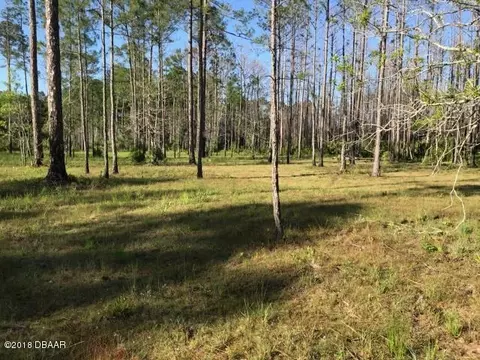 5893 Elm Ave, Bunnell, FL 32110 photo 5