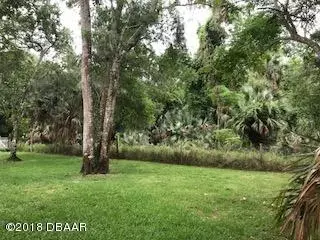 1550 Poplar Dr, Ormond Beach, FL 32174 photo 29