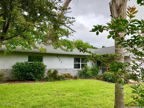 2313 Date Palm Dr, Edgewater, FL 32141 photo 2