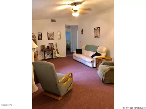 2313 Date Palm Dr, Edgewater, FL 32141 photo 8