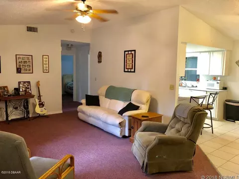 2313 Date Palm Dr, Edgewater, FL 32141 photo 7