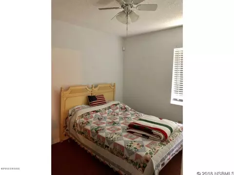 2313 Date Palm Dr, Edgewater, FL 32141 photo 11