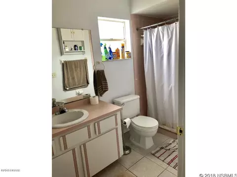 2313 Date Palm Dr, Edgewater, FL 32141 photo 12