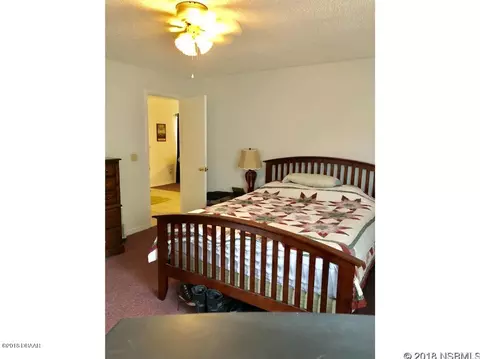 2313 Date Palm Dr, Edgewater, FL 32141 photo 6