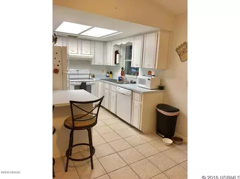 2313 Date Palm Dr, Edgewater, FL 32141 photo 3