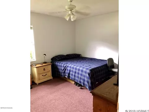 2313 Date Palm Dr, Edgewater, FL 32141 photo 10