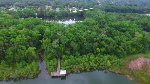 11 Pine Trl, Ormond Beach, FL 32174 photo 36