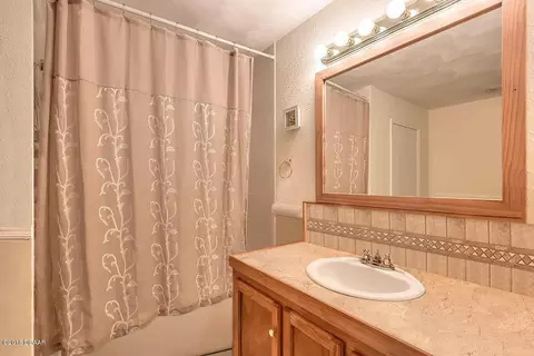1629 Sabal Palm Dr, Edgewater, FL 32132 photo 9