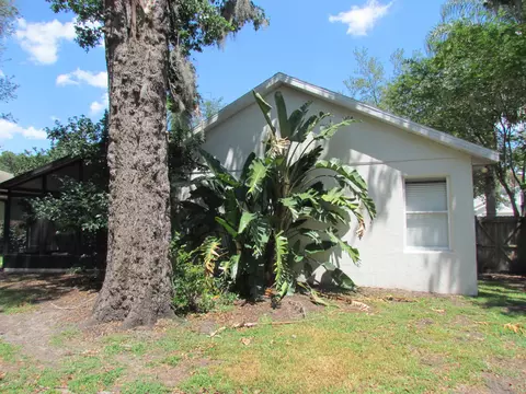 2079 Ancient Oak Dr, Ocoee, FL 34761 photo 6