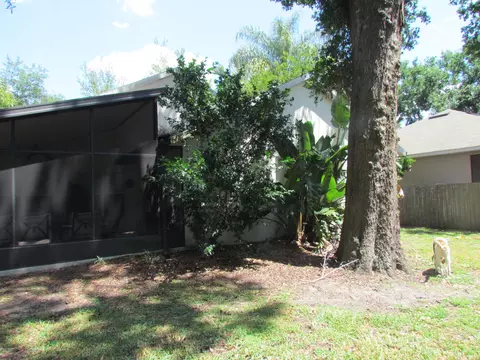 2079 Ancient Oak Dr, Ocoee, FL 34761 photo 5