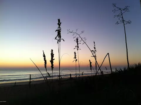 309 Cedar Ln, Flagler Beach, FL 32136 photo 46