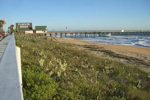 309 Cedar Ln, Flagler Beach, FL 32136 photo 37