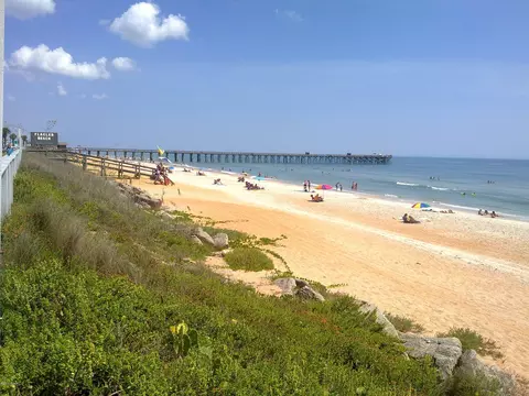 309 Cedar Ln, Flagler Beach, FL 32136 photo 38