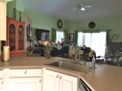 7 Peruvian Ln, Ormond Beach, FL 32174 photo 15
