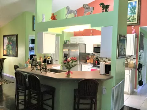 7 Peruvian Ln, Ormond Beach, FL 32174 photo 14