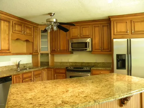 115 Flagler Ave, Edgewater, FL 32132 photo 3