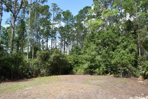 1050 Cedar St, Bunnell, FL 32110 photo 25