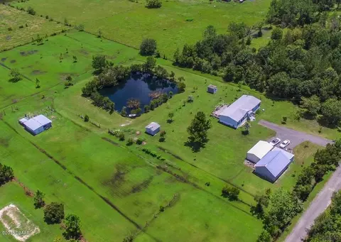 138 Panda Bear Ln, Bunnell, FL 32110 photo 6
