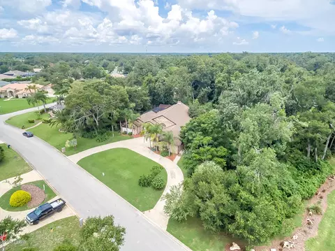 3901 Cree Dr, Ormond Beach, FL 32174 photo 3