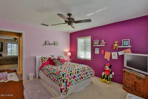 226 Timberline Trl, Ormond Beach, FL 32174 photo 25