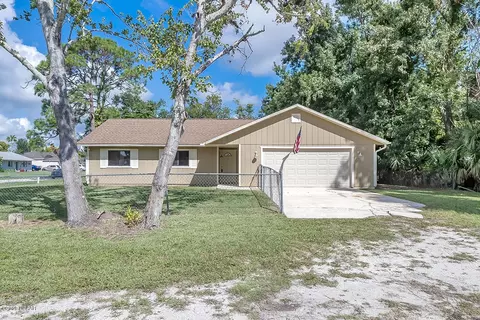 3231 Umbrella Tree Dr, Edgewater, FL 32141 photo 1