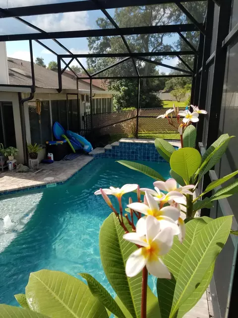46 Mayfield Ter, Ormond Beach, FL 32174 photo 55