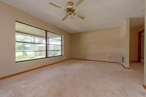 4 Willowdale Cir, Ormond Beach, FL 32174 photo 14